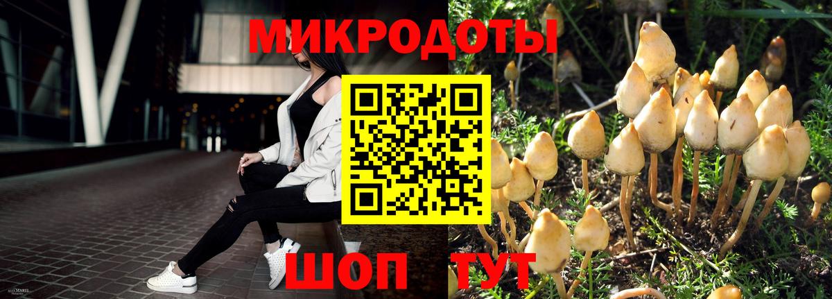 Батайск  Псилоцибиновые грибы мицелий  Вход с VPN 