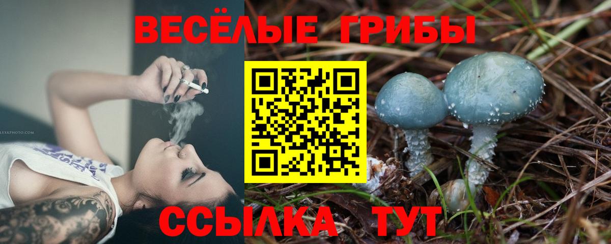 Галлюциногенные грибы мицелий Батайск